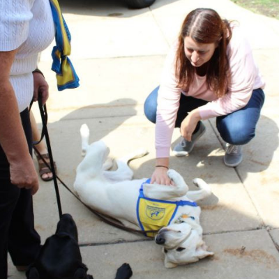 Canine Companion Check Presentation Recap